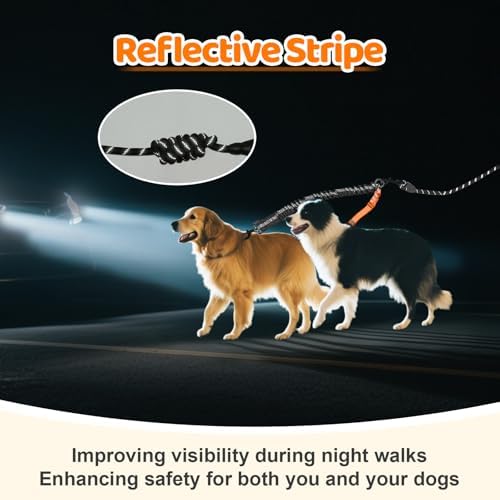 Double Dog Leash - Image 6