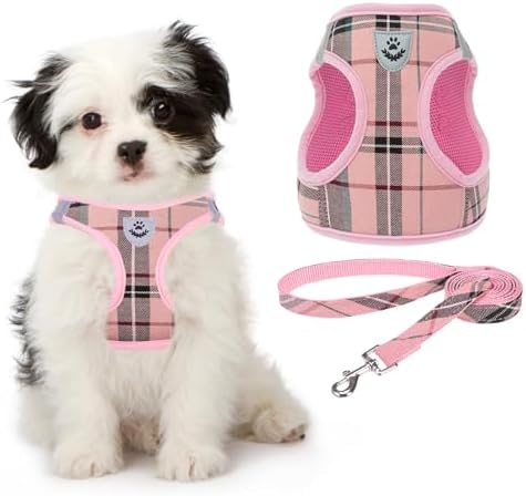 KOOLTAIL Dog Harness for Small Medium Dogs, Dog Harness and Leash Set, Step in by KOOLTAIL