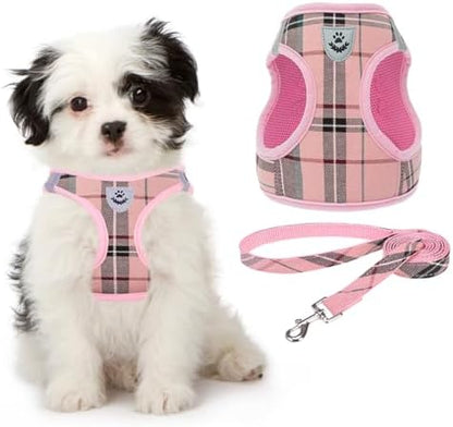 KOOLTAIL Dog Harness for Small Medium Dogs, Dog Harness and Leash Set, Step in by KOOLTAIL