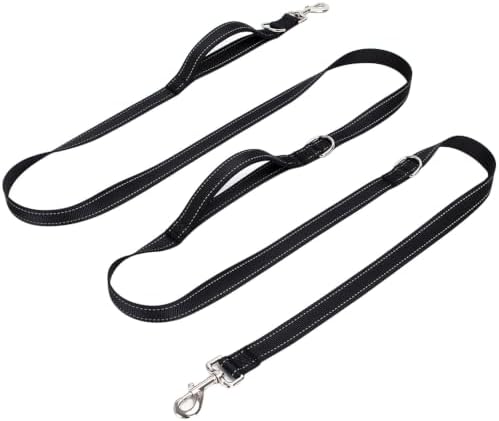 Double Handle 10ft Dog Leash by WYuZe