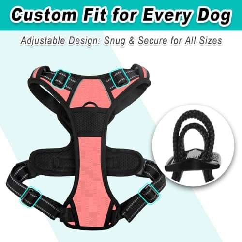 BARKBAY Dog Harness for Large Dog No Pull 2 Leash Clips Dog Vest - Image 6