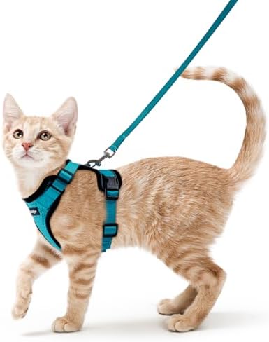 rabbitgoo Cat Harness and Leash Set, Escape Proof Vest by rabbitgoo