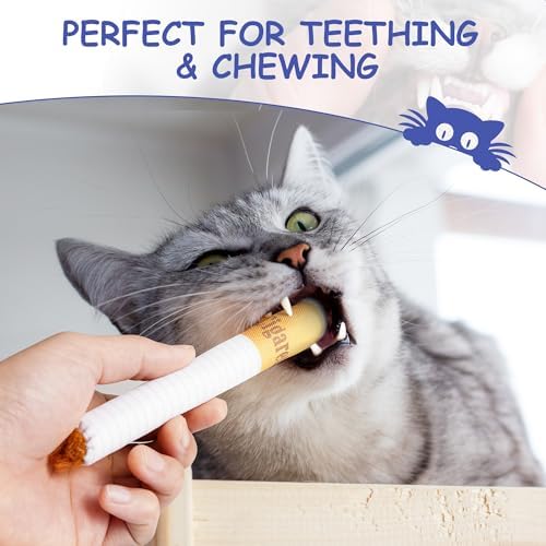 Nocciola 3 Pack Catnip Toys for Cats, Funny Cat Toys Filled - Image 5