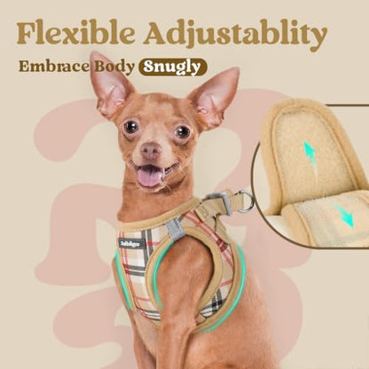 rabbitgoo Step-in Small Dog Harness, Puppy Vest - Image 7