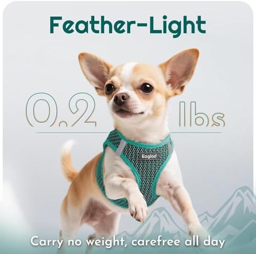 Eagloo Small Dog Harness and Leash Set, Step in Medium Small Puppy Pet Vest - Image 3