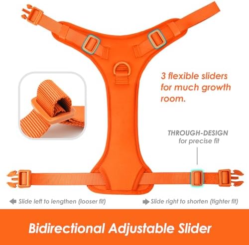 Sunraymascota No Pull Dog Harness - Image 5