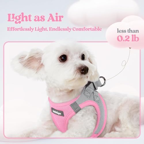 rabbitgoo Dog Harness Small Sized and Leash Set, Step-in Puppy Pet Vest - Image 4