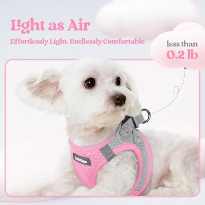 rabbitgoo Dog Harness Small Sized and Leash Set, Step-in Puppy Pet Vest - Image 4
