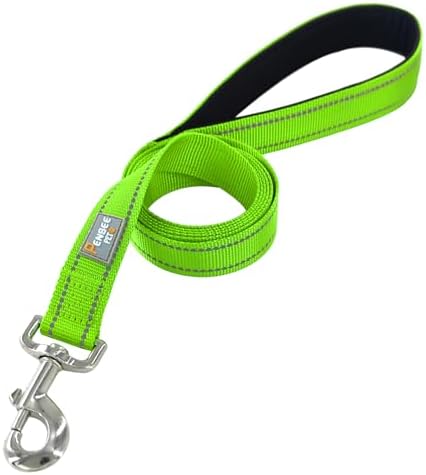 6 FT Basic Dog Leash for Small Dogs - Image 2