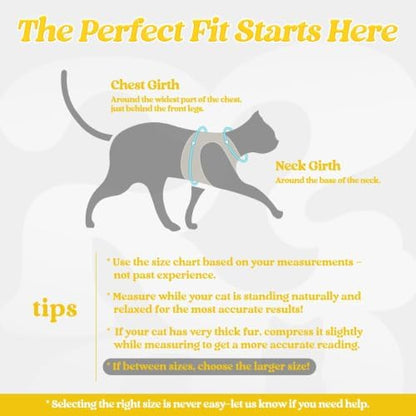 rabbitgoo Cat Harness and Leash Set, Step-in Soft Vest, Bright Yellow - Image 2
