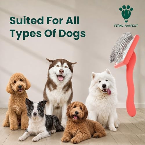Slicker Brush for Dogs - Image 6