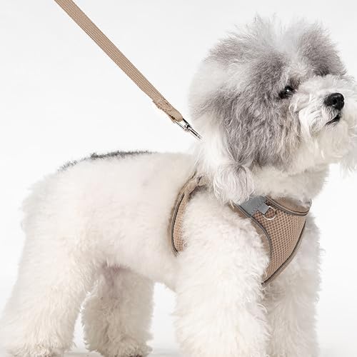 Dog Harness for Small Medium Sized Dog, Puppy Harness and Leash Set Training - Image 2