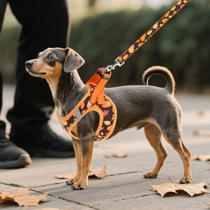KOOLTAIL Fall Dog Harness and Leash Set - Image 6