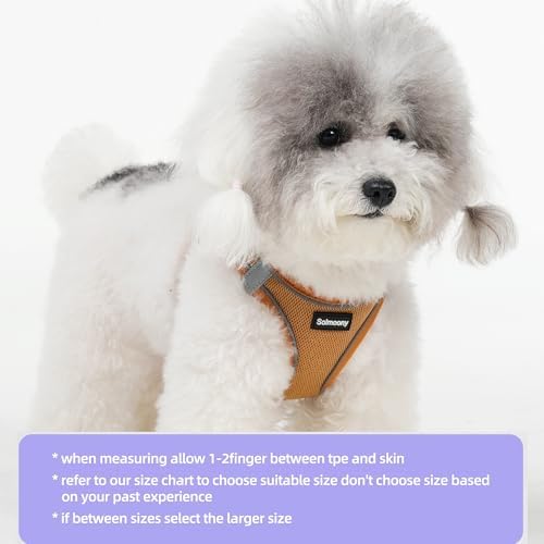 Solmoony Sparkly Medium Dog Harness and Leash Set, Step in Soft Light Puppy Vest - Image 2