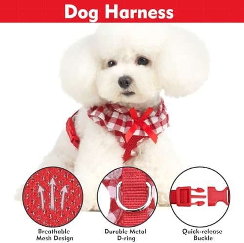 EXPAWLORER Step-in Dog Harness Small Sized and Leash Set - Image 2