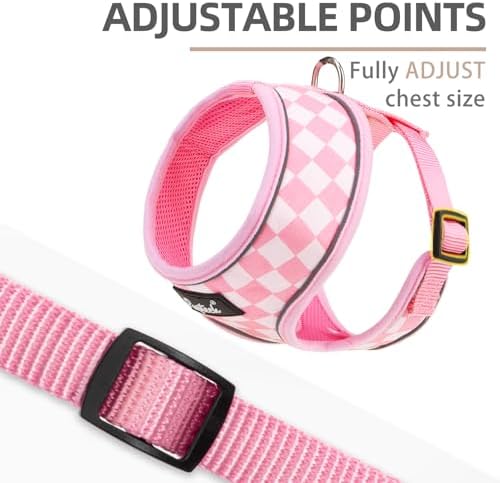 PUPTECK Small Dog Harness and Leash Set No Pull - Image 3