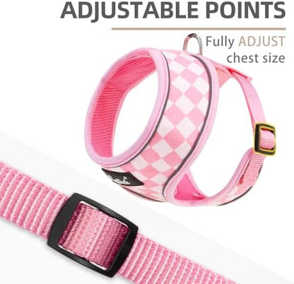 PUPTECK Small Dog Harness and Leash Set No Pull - Image 3
