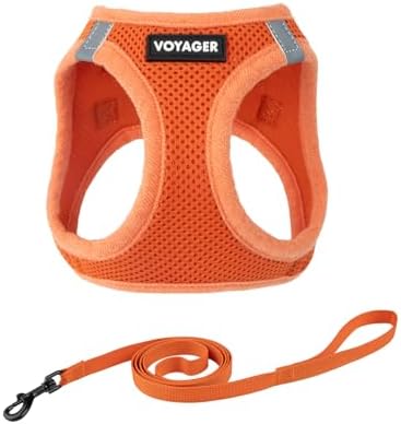 Voyager Step-in Air Cat Harness & Leash Set by BestPetSuppliesLLC