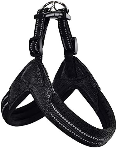 Dog Harness No Pull Ultra Soft Breathable Padded Pet Harness 2 Adjustable Botton by PORDLIE