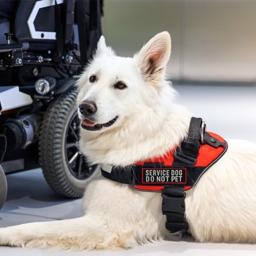 2 Pcs Reflective Service Dog Do Not Pet Patch Set - Image 7