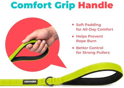 Best Pet Supplies Voyager Nylon Dog Leash - Image 5