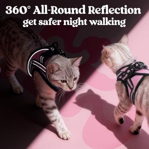 rabbitgoo Cat Harness and Leash Set, Step-in Soft Vest - Image 5