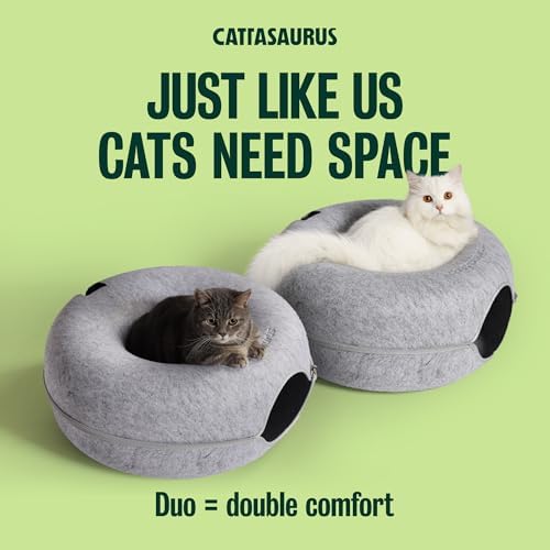 Cattasaurus Peekaboo Cat Cave Donut - Image 5