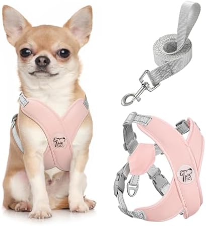 Pawaboo Small Dog Harness and Leash Set, Puppy Harness X-Frame Adjustable by Pawaboo