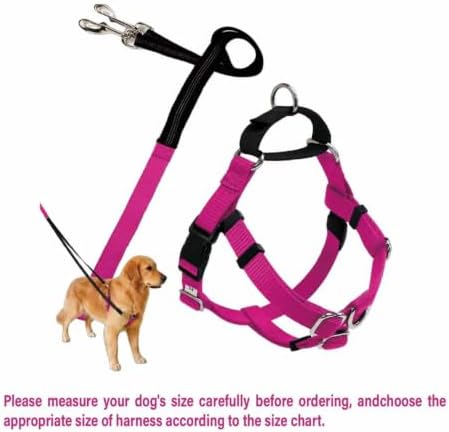 Freedom No Pull Dog Harness - Image 2