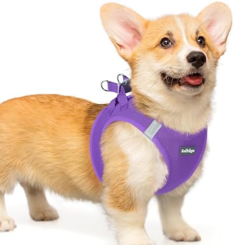 rabbitgoo Step-in Small Dog Harness, Puppy Vest by rabbitgoo
