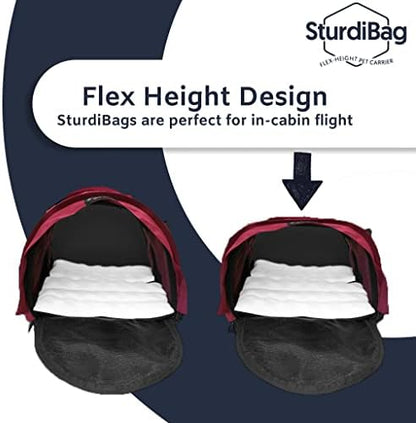 Sturdi Products SturdiBag Pet Carrier - Image 6