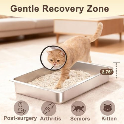 Low Entry Stainless Steel Cat Litter Box - Image 2