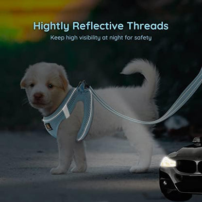 BELLA & PAL Step in Puppy Harness and Leash Set - Image 5