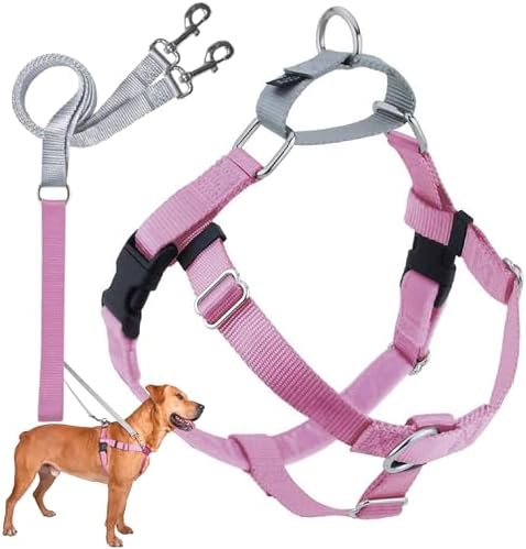 2 Hounds Design Freedom No Pull Dog Harness and Leash, 5/8" XS by 2HoundsDesign