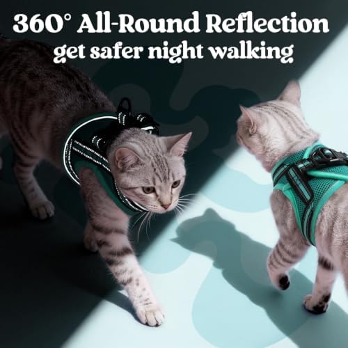 rabbitgoo Cat Harness and Leash Set, Step-in Soft Vest, Turquoise & Green - Image 5