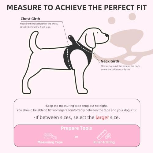 PUPTECK Dog Harness, Collar and Leash Set No Pull - Image 2