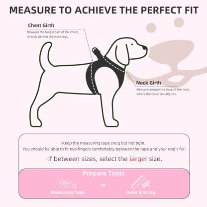 PUPTECK Dog Harness, Collar and Leash Set No Pull - Image 2