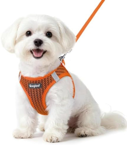 Eagloo Small Dog Harness and Leash Set, Step in Small Sized Puppy Pet Vest by GoExplorewithEagloo