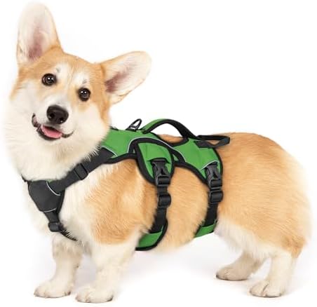 rabbitgoo Escape Proof Dog Harness by rabbitgoo