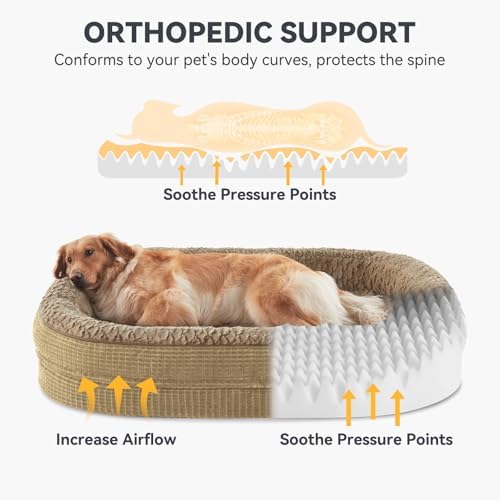 JOEJOY Orthopedic Dog Bed for Medium Dogs, Egg-Crate Memory Foam Pet Bed - Image 2