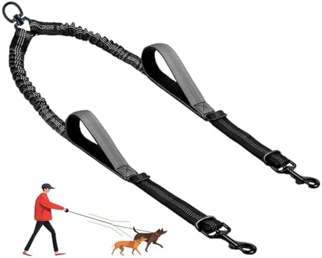 Double Dog Leash by LEOSASA