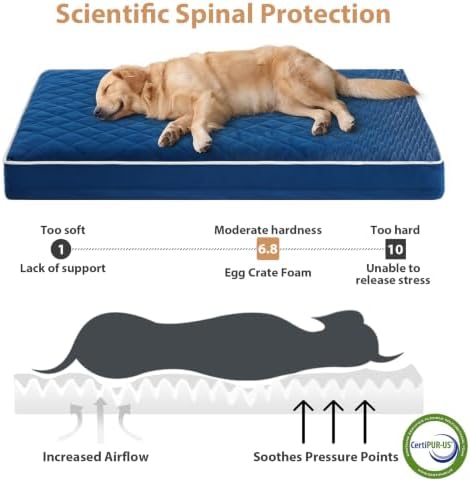 WNPETHOME Orthopedic XXL Dog Beds - Image 3