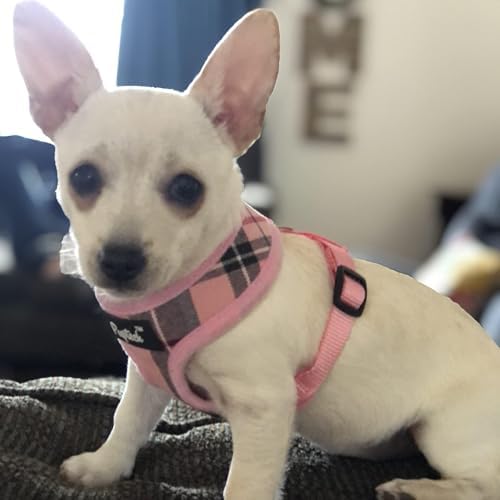 PUPTECK Small Dog Harness and Leash Set No Pull - Image 6