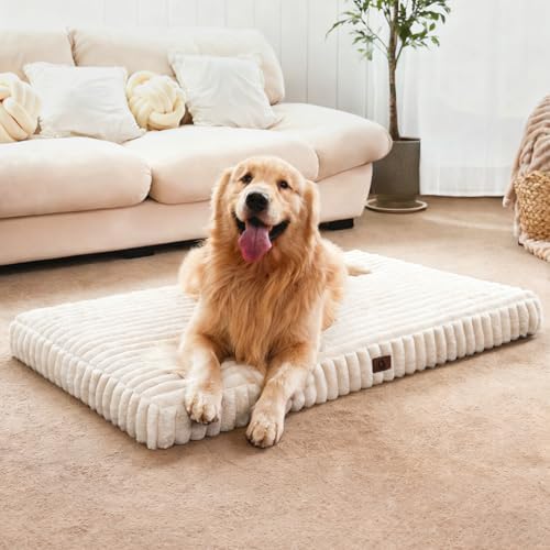 Large Orthopedic Dog Crate Bed by Cozila