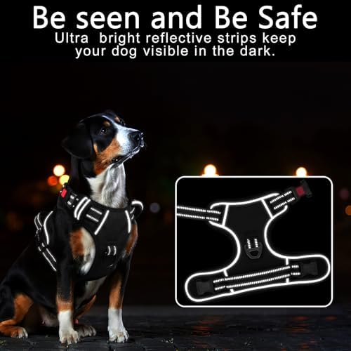 Timos Dog Harness, Front Clip No Pull Medium Sized - Image 2