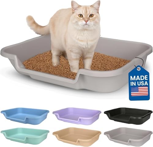 KittyGoHere Senior Cat Litter Box 1 Pack, Large Misty Gray Low Entrance Kitty by NE14pets