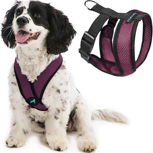 Gooby Comfort X Head-in Dog Harness, Choke-Free by Gooby