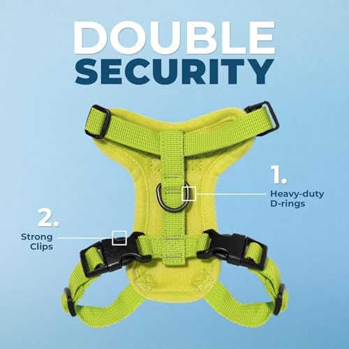 Voyager Step-in Lock Cat Harness & Leash Set - Image 2
