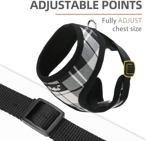 PUPTECK Small Dog Harness and Leash Set No Pull - Image 3