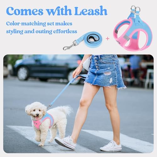 rabbitgoo Dog Harness Medium Sized and Leash Set, Step-in Puppy Pet Vest - Image 5
